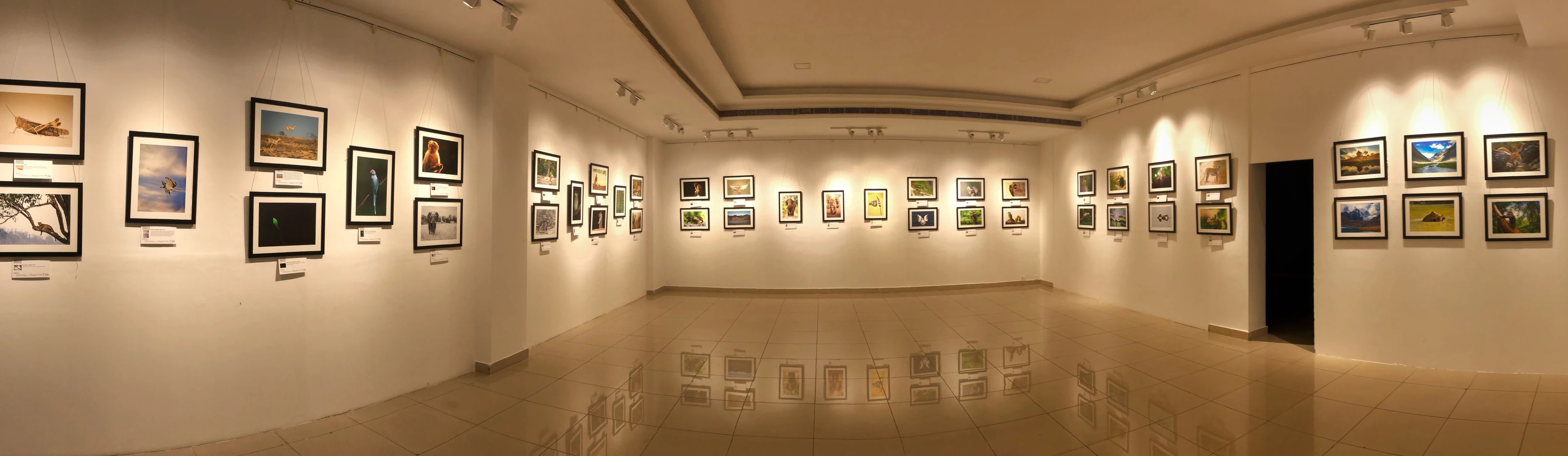 Honeycomb Photography Exhibition